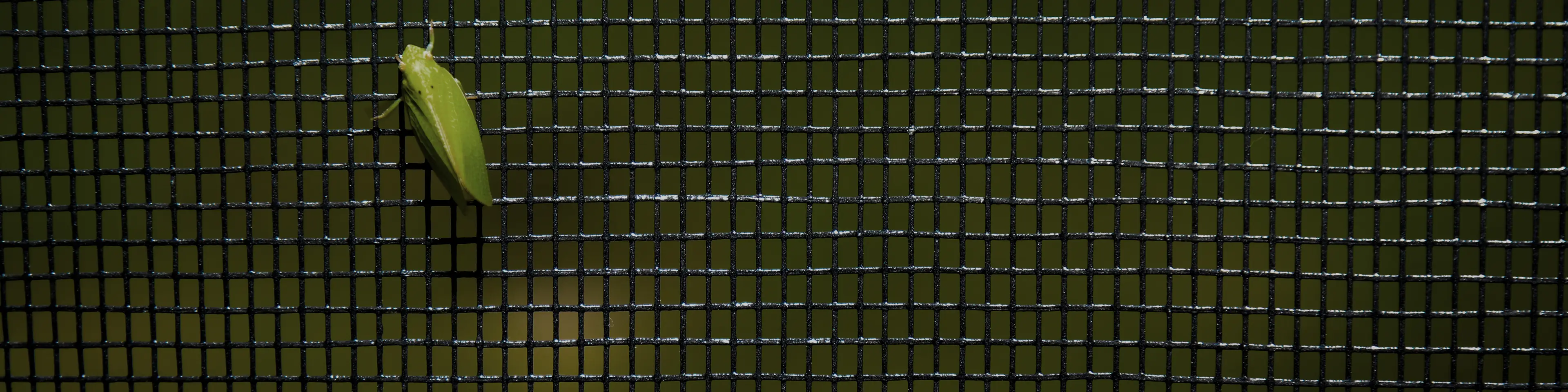 BetterVue Insektenschutzgewebe